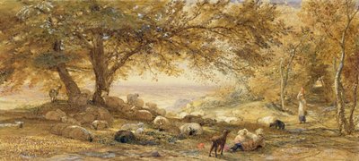 Tranquillità ombrosa da Samuel Palmer